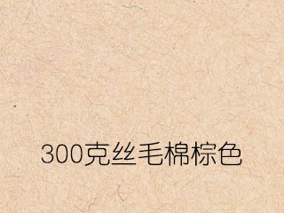 300克絲毛棉棕色